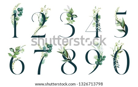 Similar – Image, Stock Photo Three branches of a Dragon tree also known as Dracaena draco or Drago from Canarian islands
