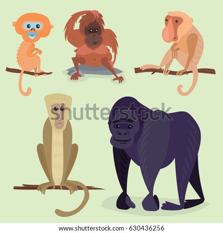 Different breads monkey character animal wild zoo ape chimpanzee vector illustration.