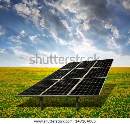 solar energy panels on dandelion field in the sunset