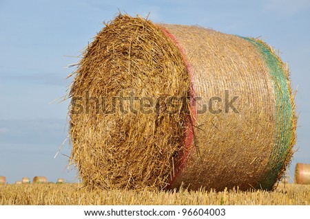 big round bales of straw in the field