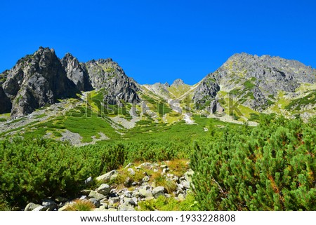 Mlynicka Valley in Vysoke Tatry (High Tatras), Slovakia. Mountain lanscape. Zdjęcia stock © 
