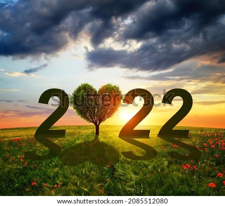 Number 2022 with tree in the heart shape in the meadow at sunset. Concept of Happy New Year.