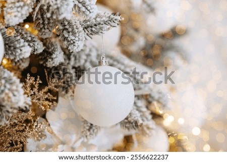 Similar – Image, Stock Photo delicate white frost adorns the edges of a woody thyme bush.  Geometric setting of leaves