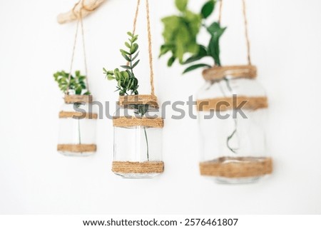 Similar – Image, Stock Photo Three glass jar container full with dried raw pasta in an empty room