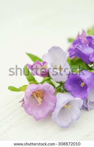 Bouquet of bell flowers. Selective focus, close up.Bellflower