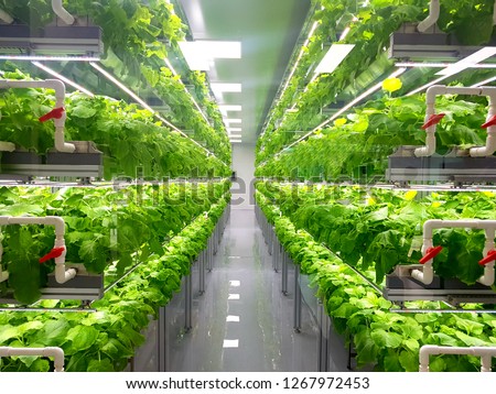 Plant vertical farms producing plant vaccines Foto d'archivio © 