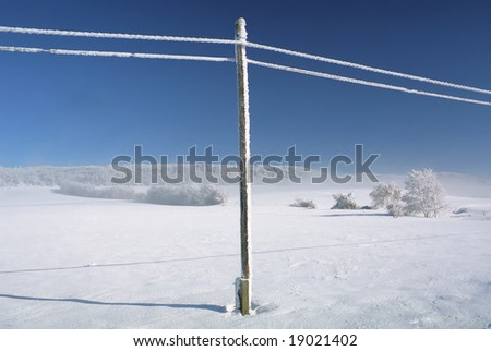 Nice winter landscape blue sky, snowy telephony lines