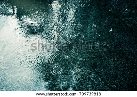 Similar – Image, Stock Photo Leaf reflection on puddle with ice and foliage