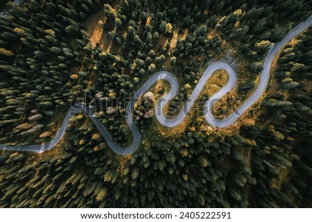 Similar – Image, Stock Photo Curvy road in green forest