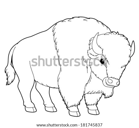 Cartoon Animal - Wild - Buffalo - Illustration For The Children ...