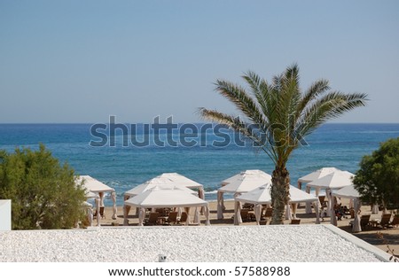 Palm tree at the beach of luxury hotel, Crete, Greece