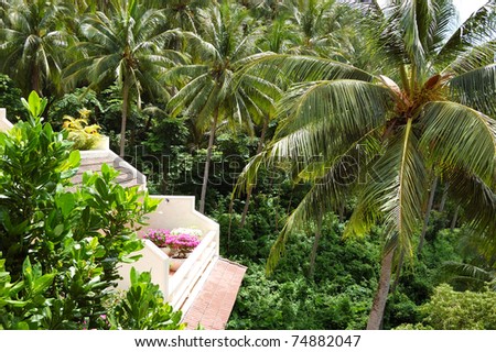Balcony with flowers of luxury hotel with a view on coconut palm trees, Phuket, Thailand