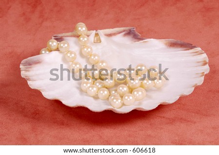 Pearls in an Oyster Shell