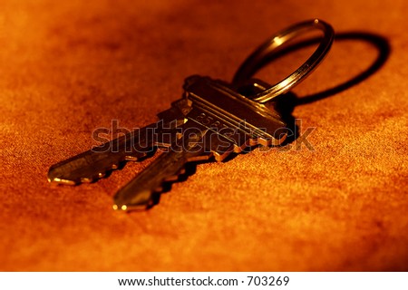 Photo of House Keys