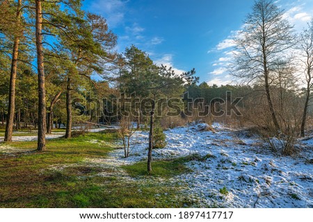 Similar – Foto Bild Frühling trifft Winter, Frühlingsheide mit Neuschnee bedeckt, Österreich