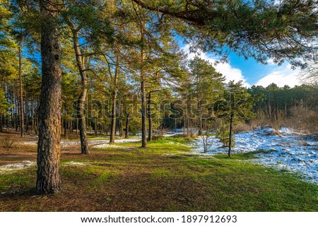 Similar – Foto Bild Frühling trifft Winter, Frühlingsheide mit Neuschnee bedeckt, Österreich