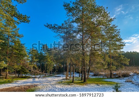 Similar – Foto Bild Frühling trifft Winter, Frühlingsheide mit Neuschnee bedeckt, Österreich