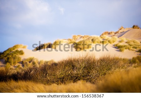 Sand dunes of Formby beach near Liverpool, the North West Coast of England