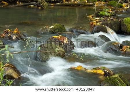 Colorful Autumn leaves isolated over flowing river water background