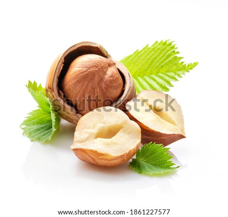composition of hazelnut kernels, shells, leaves and whole hazelnut on white background
