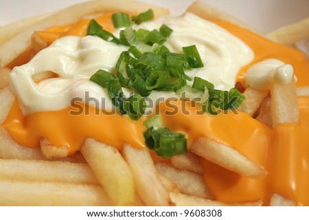 Melted cheese fries topped off with mayonaise and spring onions.