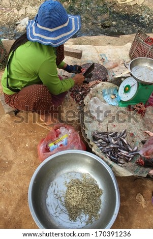 SIEM REAP, CAMBODIA - NOVEMBER 23: A Cambodian woman sitting as she fillets fish at a local market near Siem Reap, Cambodia on the 23rd November, 2013.