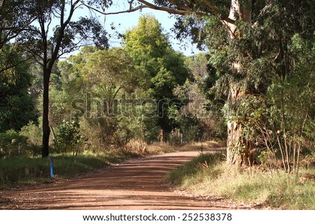 A typical dirt country road surrounded by bush in the Margaret River region south of Perth, Western Australia, Australia.