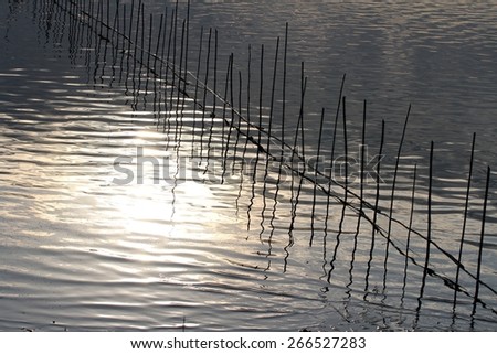 Bamboo pole constructed fishing nets and their reflectionin Taungthaman Lake seen from U Bein Bridge near Mandalay, Myanmar.