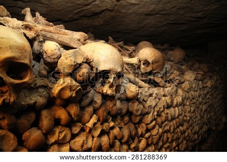 Stacked old human bones in The Catacombs of Paris, France.