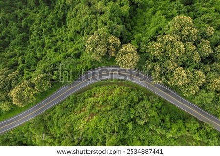 Similar – Image, Stock Photo Winding asphalt road through forest