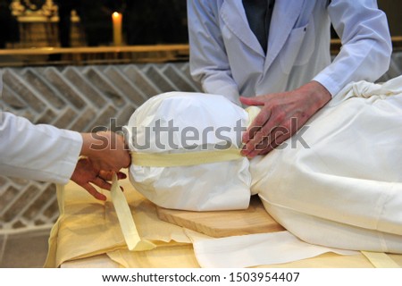Similar – Image, Stock Photo shrouded