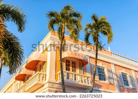 Similar – Image, Stock Photo An avenue with pink blossoming almond trees