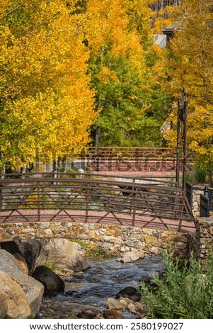 Similar – Image, Stock Photo foliage Footbridge