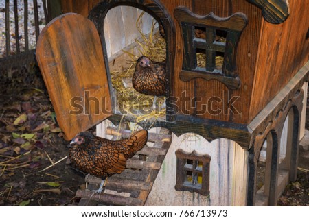 Shutterstock Puzzlepix