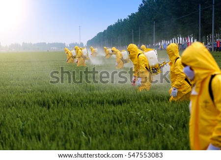 Foto Bild Landwirt in Schutzkleidung mäht Rasen in einem Garten mit einem Benzinrasenmäher