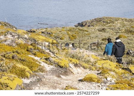 Similar – Image, Stock Photo Unrecognizable traveler in mountains in winter