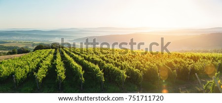 Image, Stock Photo Sunset of the extra class at the lake
