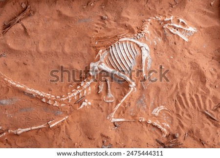 Image, Stock Photo Cretaceous