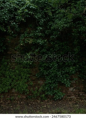 Similar – Image, Stock Photo wall Manmade structures