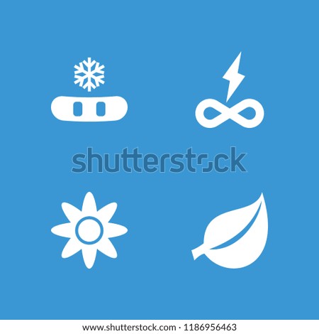 Ornament icon. collection of 4 ornament filled icons such as snowflake, endless battery, leaf. editable ornament icons for web and mobile.