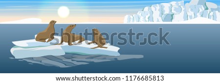Three seals on an ice floe in the North Sea or the ocean. The glacier and the snow-covered plain. Landscapes of Alaska and other northern regions.