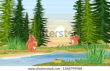 Squirrels on the river bank. River bank with grass, trees and bushes. Sunset or sunrise in summer. Wild nature of Russia, Europe, USA and Canada. Realistic Vector Landscape