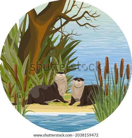 Round composition. Two river otters sit on the banks of a river or lake in thickets of reeds. Eurasian otter Lutra lutra. Realistic vector animal