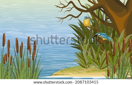 A pair of kingfishers are sitting on a branch of a tree growing on the banks of the river. Realistic vector landscape