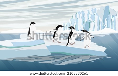 A flock of Adelie Penguin stands on a large ice floe. Penguins jump into the ocean. Birds of the South Field. realistic animals