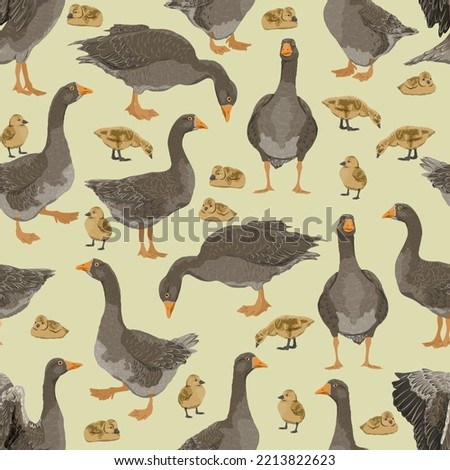 Seamless pattern with Greylag goose. The gray domestic goose stands, looks for food, takes off and swims. Geese and goslings. Farm Birds. Realistic Vector print