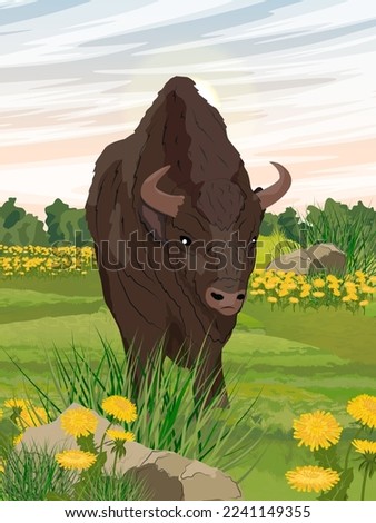 European bison stands in a summer meadow with blooming dandelions. The wisent or the zubr. Realistic vertical vector landscape