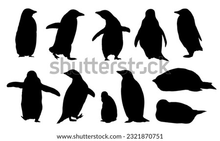 Adélie penguin silhouette set. Males, females and chicks of Adélie penguins. Birds of the South Field. realistic animals