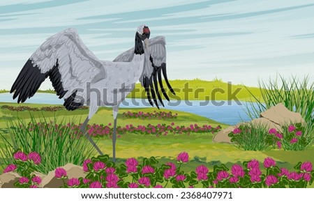 Gray crane flew to a meadow with clover and green grass. River bank in summer. Realistic Vector Landscape