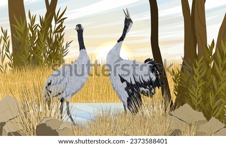 A flock of gray cranes on an autumn field on the river bank. Realistic Vector Landscape